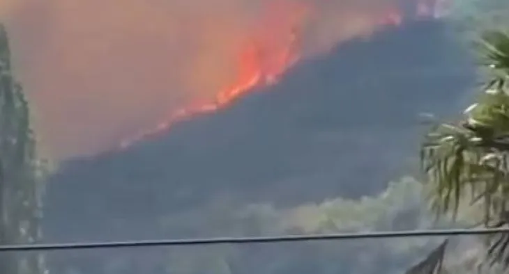 Zjarr i përmasave të mëdha në kodrat e Shkodrës, flakët përhapen me shpejtësi, ndërhyrje me helikopter për mbrojtjen e banesave
