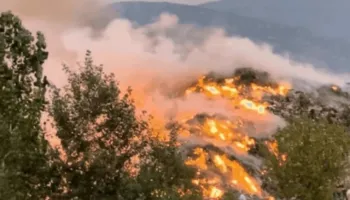 Zjarr masiv edhe pyjet me pisha të Pogradecit, era favorizon flakët që përhapen me shpejtësi!