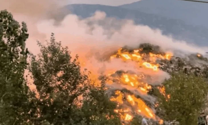Zjarr masiv edhe pyjet me pisha të Pogradecit, era favorizon flakët që përhapen me shpejtësi!