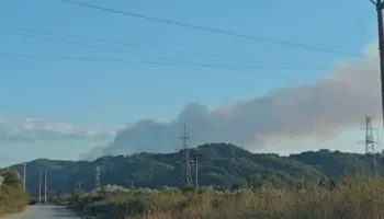 Zjarr masiv në kodrat me ullishta në Kreshpan të Fierit, era e fortë favorizon përhapjen e flakëve!