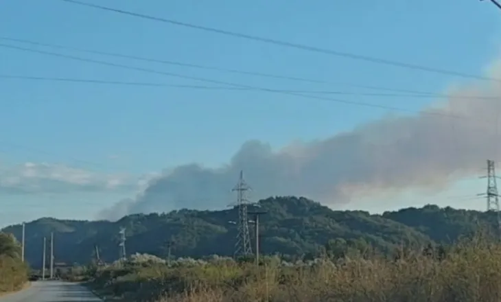 Zjarr masiv në kodrat me ullishta në Kreshpan të Fierit, era e fortë favorizon përhapjen e flakëve!