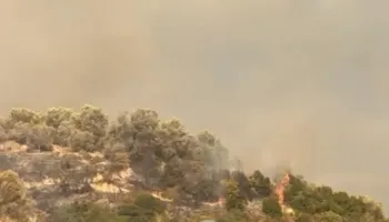 Zjarr masiv në kodrat me ullishte të Gorishovës në Fier, era favorizon flakët! Banorët të frikësuar, terreni vështirëson ndërhyrjen (VIDEO)