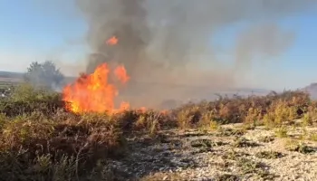 Zjarr masiv në Parkun Arkeologjik të Apolonisë, flakët favorizohen nga era e fortë