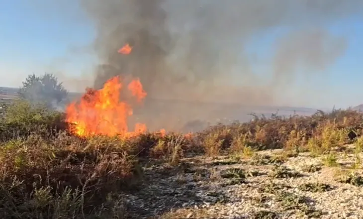 Zjarr masiv në Parkun Arkeologjik të Apolonisë, flakët favorizohen nga era e fortë