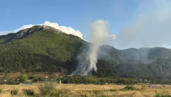 Zjarr masiv në Plasë, flakët përfshijnë zonën pyjore në Moravë
