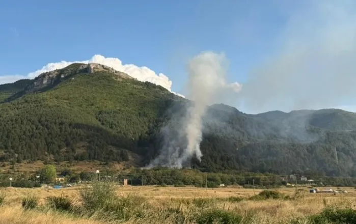 Zjarr masiv në Plasë, flakët përfshijnë zonën pyjore në Moravë