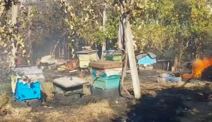 Zjarr në Drojë të Kurbinit/ Digjen kosheret me bletë, flakët rrezikojnë banesat