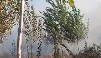 Zjarr në Drojë të Kurbinit, flakët përfshijnë pyjet dhe rrezikojnë banesat