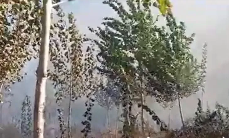 Zjarr në Drojë të Kurbinit, flakët përfshijnë pyjet dhe rrezikojnë banesat