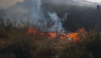 Zjarr në Finiq/ Flakët djegin pemë e shkurre, rrezikohen banesat