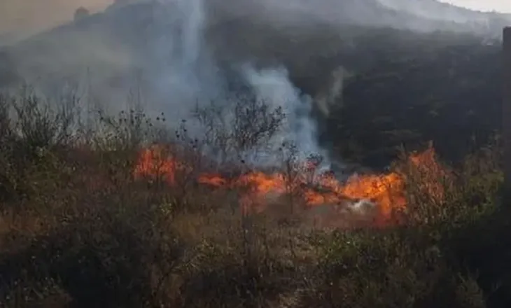 Zjarr në Finiq/ Flakët djegin pemë e shkurre, rrezikohen banesat