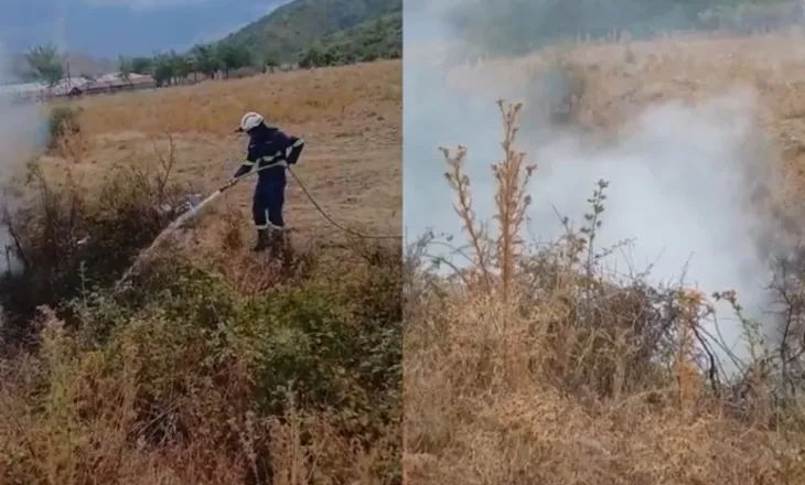 Zjarr në Gjirokastër, flakët në afërsi të fshatit Taroninë