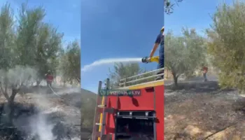 Zjarr në Gostimë të Cerrikut, flakët rrezikojnë banesat