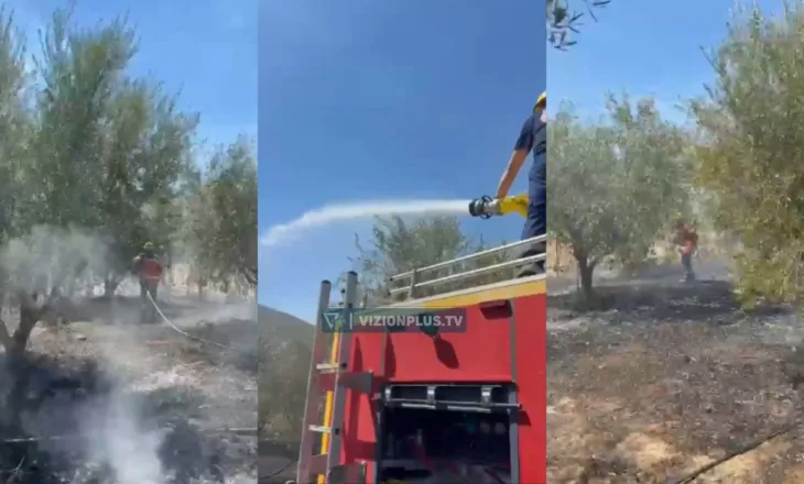 Zjarr në Gostimë të Cerrikut, flakët rrezikojnë banesat