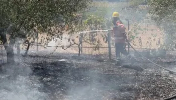 Zjarr në Gostimë të Cërrikut, ndërhyrja e shpejtë shmang rrezikun për banesat (VIDEO)