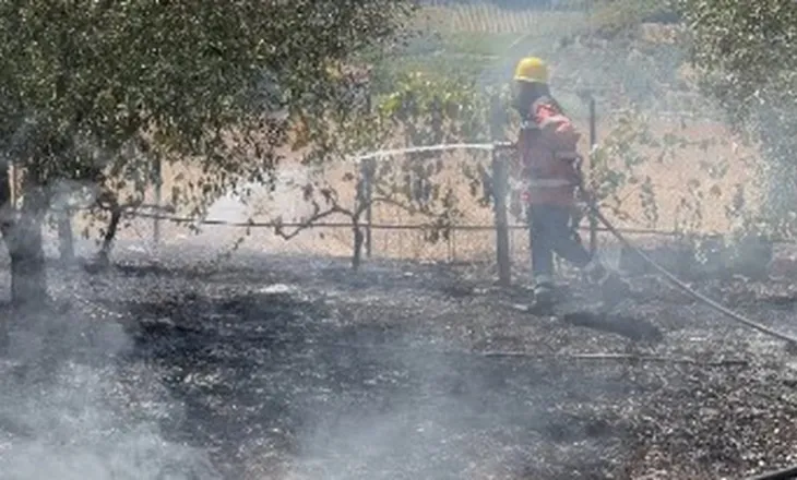 Zjarr në Gostimë të Cërrikut, ndërhyrja e shpejtë shmang rrezikun për banesat (VIDEO)