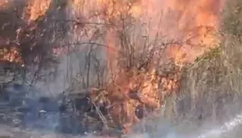 Zjarr në hyrje të një fshati në Gjirokastër, zjarrfikësit shmangin përhapjen