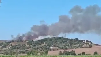 Zjarr në kodrat e Pojanit. Rrezikohet Parku Arkeologjik i Apolonisë