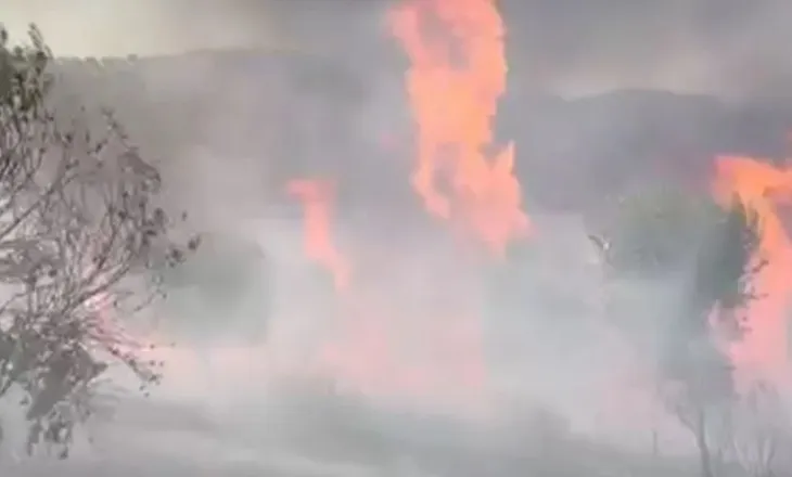Zjarr në kodrën me pemëtari në fshatin Kutalli, përfshihet nga flakët një sipërfaqe e madhe me ullinj