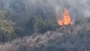 Zjarr në Kropisht të Vlorës, flakët shtrihen në 1.5 kilometra, kërkohet ndërhyrje nga ajri