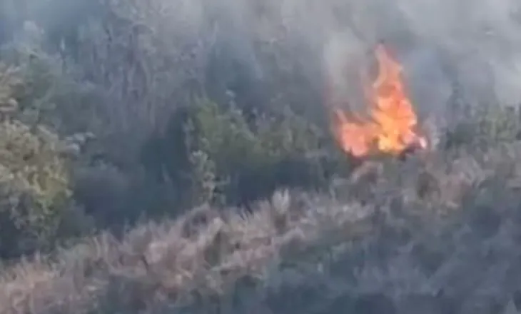 Zjarr në Kropisht të Vlorës, flakët shtrihen në 1.5 kilometra, kërkohet ndërhyrje nga ajri