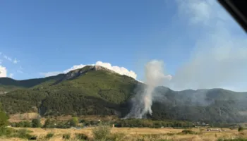 Zjarr në Palasë, flakët përfshijnë zonën pyjore në Moravë