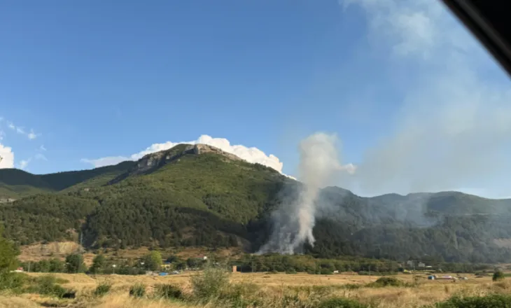 Zjarr në Palasë, flakët përfshijnë zonën pyjore në Moravë
