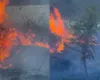 Zjarr në Parkun Natyror të Viroit në Gjirokastër, flakët përhapen me shpejtësi