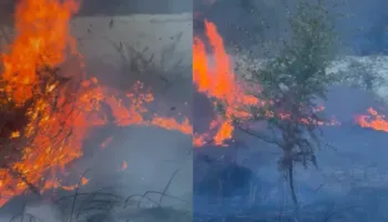 Zjarr në Parkun Natyror të Viroit në Gjirokastër, flakët përhapen me shpejtësi
