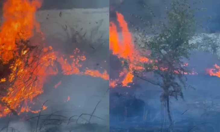 Zjarr në Parkun Natyror të Viroit në Gjirokastër, flakët përhapen me shpejtësi