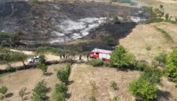 Zjarr në Pogradec, digjet mbi 2 hektarë kullotë