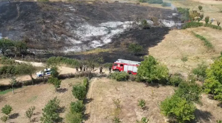 Zjarr në Pogradec, digjet mbi 2 hektarë kullotë
