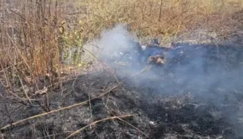 Zjarr në sipërfaqen me shkurre në një lagje të Korçës, s’ka rrezik për banesat!