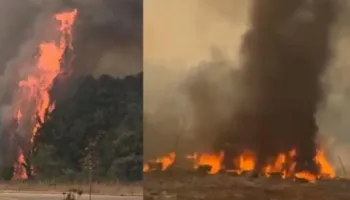 Zjarr në Syrin e Kaltër, digjen 4 kioska, flakët shuhen pas dy orësh