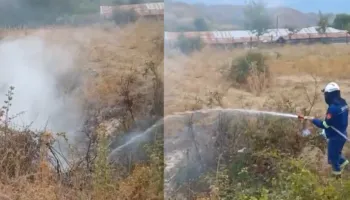 Zjarr në Taroninë të Gjirokastrës, flakët rrezikuan banesat