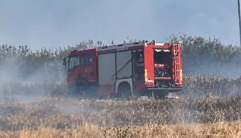 Zjarr në Topojë të Fierit, flakët favorizohen nga era e fortë, rrezikohet një banesë (VIDEO)