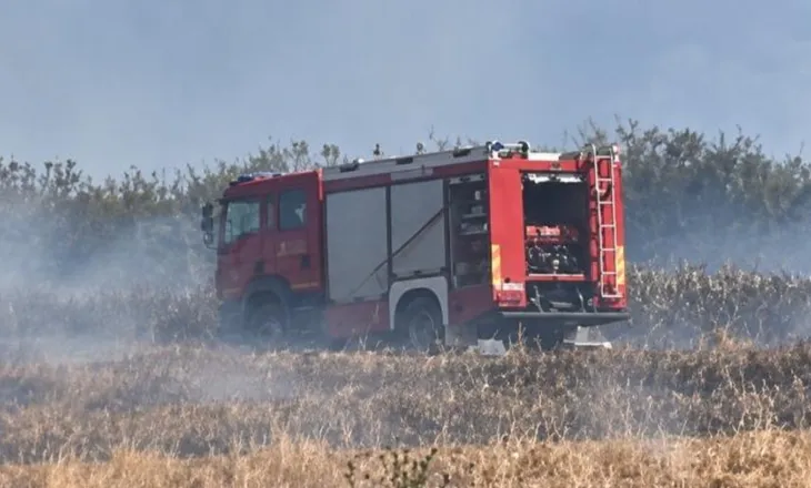Zjarr në Topojë të Fierit, flakët favorizohen nga era e fortë, rrezikohet një banesë