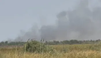 Zjarr përfshin pyllin në Dërmenas, flakët përparojnë në drejtim të pishave (VIDEO)