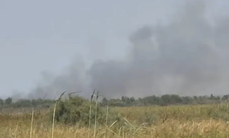 Zjarr përfshin pyllin në Dërmenas, flakët përparojnë në drejtim të pishave (VIDEO)