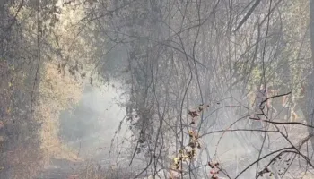 Zjarr pranë xhamisë në Gjoricë, flakët rrezikojnë banesat
