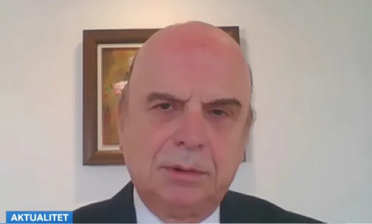 ‘Zjarre të qëllimta për të liruar sipërfaqe’, Panariti: Djegia e pyjeve po hap rrugë për resorte e parqe fotovoltaike