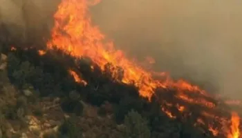 Zjarret në Kavajë, vihen nën kontroll vatrat në Kryezi dhe Helmas