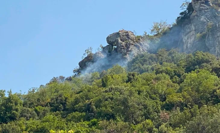Zjarret në qarkun Fier, rrezik i lartë në pyje