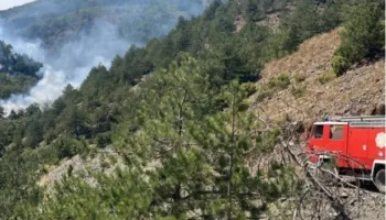 Zjarret në Shkodër, disa vatra vijojnë aktive. Nën kontroll vatra në Bërdicë