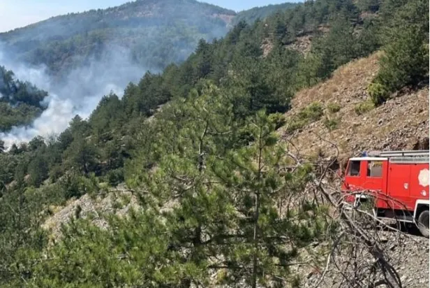 Zjarret në Shkodër, disa vatra vijojnë aktive. Nën kontroll vatra në Bërdicë
