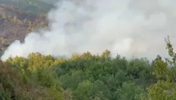 Zjarret rikthehen në Lezhë, flakët përhapen drejt zonave të banuara