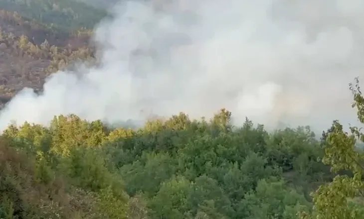 Zjarret rikthehen në Lezhë, flakët përhapen drejt zonave të banuara