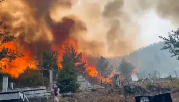 Zjarri del jashtë kontrollit, digjen varrezat e Rrasit të Butë në Lezhë