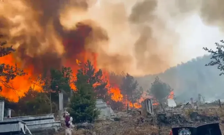 Zjarri del jashtë kontrollit, digjen varrezat e Rrasit të Butë në Lezhë
