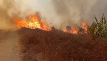 Zjarri i afrohet rrezikshëm lokaleve në Levan, pronarët evakuojnë stafin: Duhet ndërhyrje nga ajri